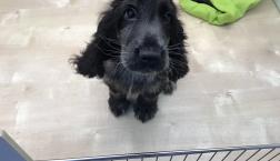 プリーズタッチミー❤️