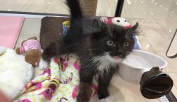 甘えん坊くん♡