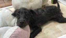 スーパーモデル並みに脚長さんなのに、、、