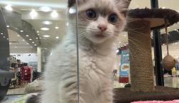 美人すぎて...♡