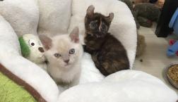 バースデイコンビ！