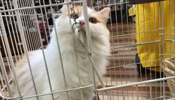 遊ぶの大好きサークル組！