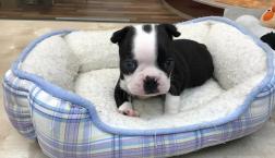 お魚さん見ーつけ