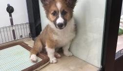 あなたは❤️だーれ？