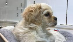 あごフェチ❤️