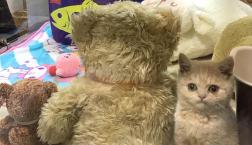 本日デビュー❣️