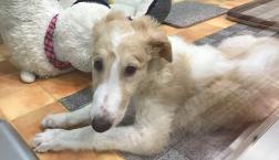 ハンサムだろ〜