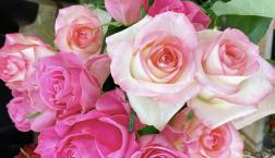 切花入荷しました♫