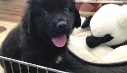 お初にお目にかかります