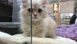 あざと〜〜い♡