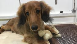 ボクの♡アイデンティティ