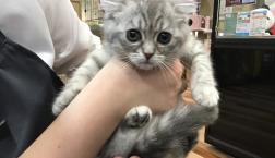 癒し系(๑˃̵ᴗ˂̵)