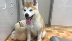 すまーてぃーなアキ姐さん