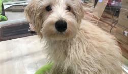 早食いフードファイター卒業！