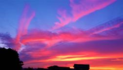 元気1番！　びわ湖の龍神伝説・命の水・生命の樹　ぐるぐる渦巻　絵画ギャラリー！