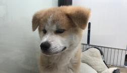 A☆KI☆TA☆美人