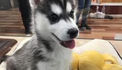 うらやましぃーーー