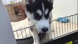 美男子✴︎⭐︎