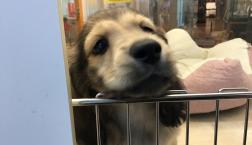 今日も今日とて♡