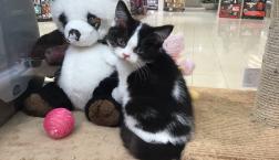 エンジェルですか(*´ω`*)