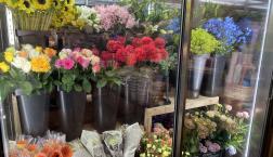 \切花入荷しました/