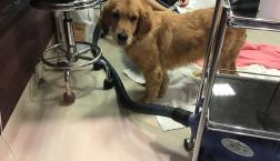 ZUTTOの里親サマ♡