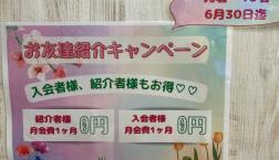 ご紹介キャンペーン　先着10名！！