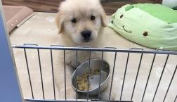 思い出はプライスレス♡