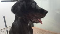 バブリーなおよだれ！