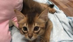 オシャレなソマリ君♡