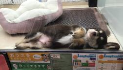 よからぬ事を、、、