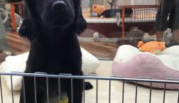 ハードボイルド！