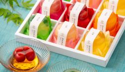 ＼ 帰省の手土産に！目にも美味しい涼甘味！ ／