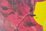 お買い上げのお客様　ポストカードプレゼント！　お値段に応じてポスターも。お早めに！