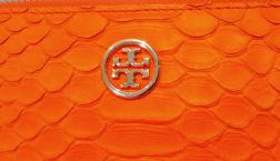 本日は一粒万倍日&天赦日のご紹介です!