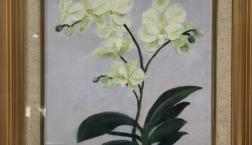 ｈito画家　滋賀県出身　油絵原画　「胡蝶蘭」花を愛する画家！　透明水彩華麗な額でプレゼントに最適！