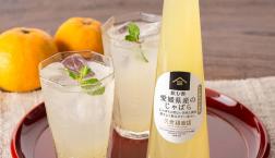 ＼ 数量限定✨今だけの飲む酢 ／