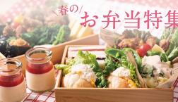 ＼ 春のお弁当特集！ ／