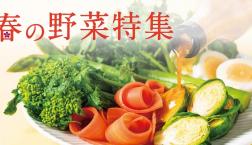 ＼ 旬を味わう春野菜✨レシピ ／