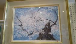 桜と海　有名絵画を空間に！　新生活応援！！！守山市笠原　野洲川堤防　桜真っ盛り！！！桜を楽しもう！！