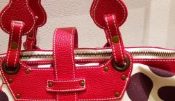 barbara rihlのご紹介です!