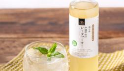＼ りんご酢ベース✨飲む酢　沖縄県産のシークヮーサー ／
