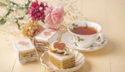 ＼ 母の日ギフトはおまかせください✨ ／