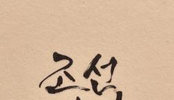 【海外で今話題！？ジョソンミニョ！】