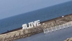 「神仏習合の世界」八坂神社にて・・「水を想う　文化を想う　平和を想う」多くの素晴らしい書・日本画　　ありがとうございました。石川県に愛をありがとうございました。