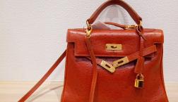 MICHEL ORLEANのご紹介です！