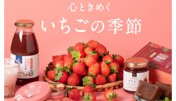 ＼「いちご」レシピ特集✨✨ ／