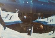 バンクシー版画！多種多様な豊富な絵画からお選び下さい！