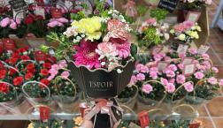 \母の日フラワー続々と♪/
