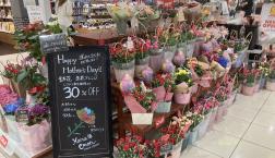 遅れてごめんね、母の日セール！